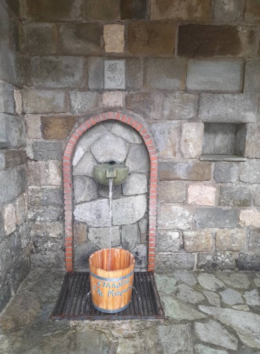 557243712 788349597167824 5629478089713551415 n