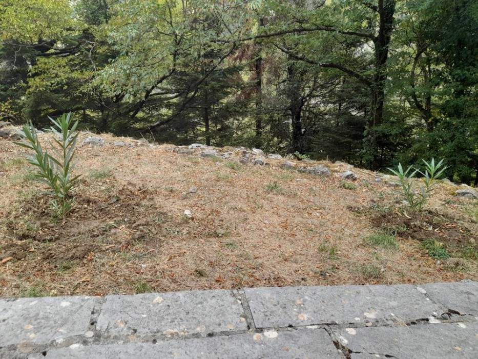 557631240 788349817167802 2329117970424670113 n