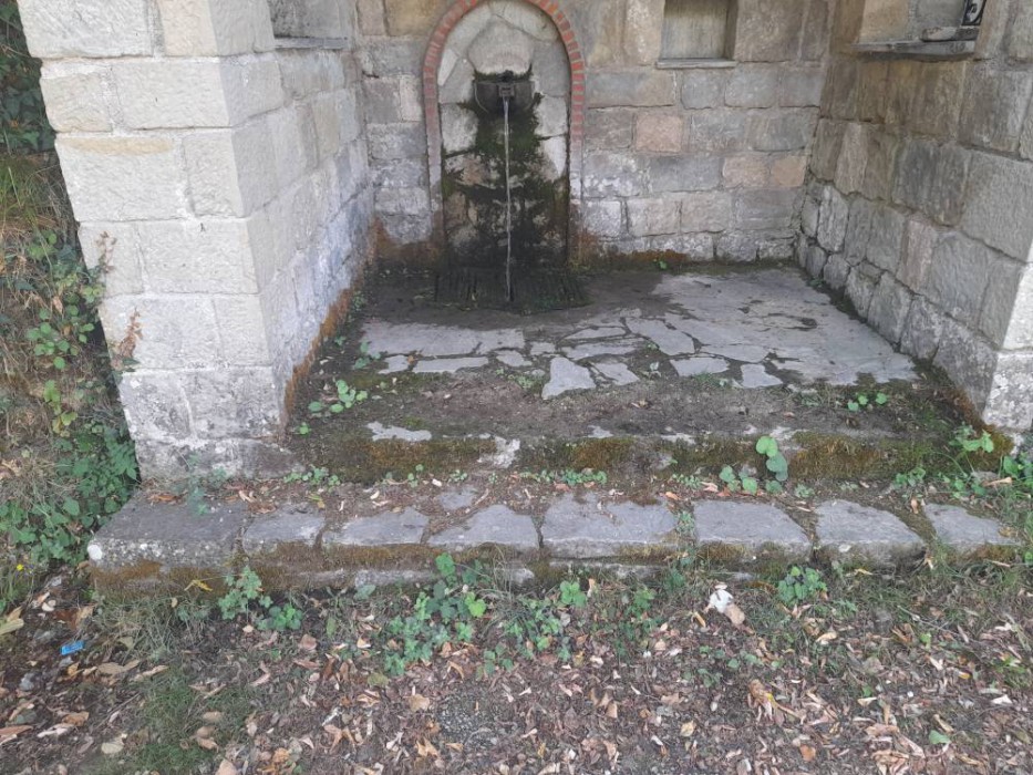 558350374 788349920501125 8487091459461839487 n