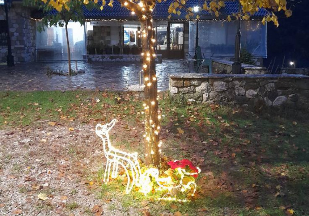 595148462 839454982057285 3547867756354043780 n