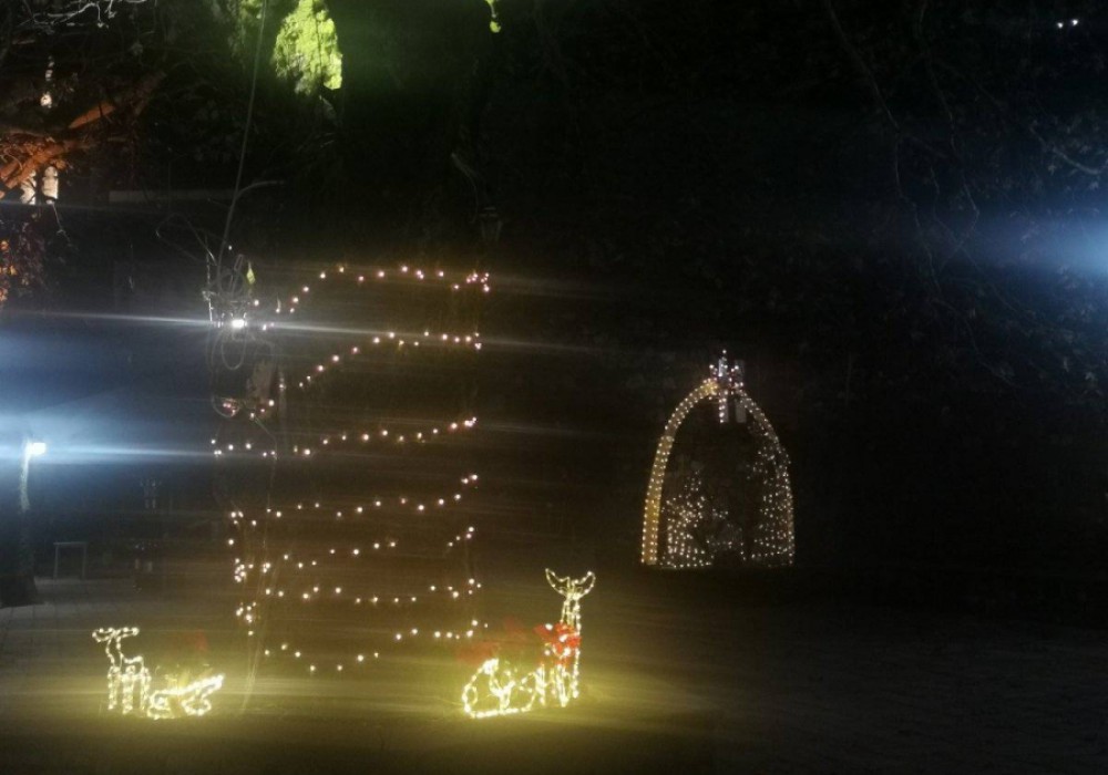 595624499 839454825390634 2651440060268245506 n