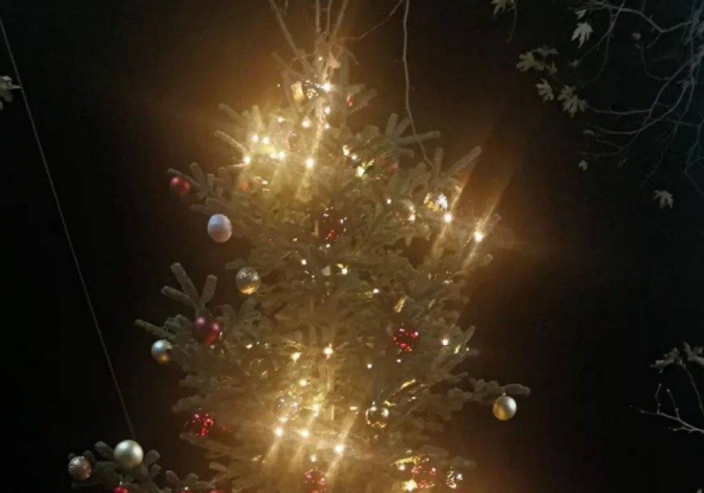 597397830 839454862057297 657217853047714033 n